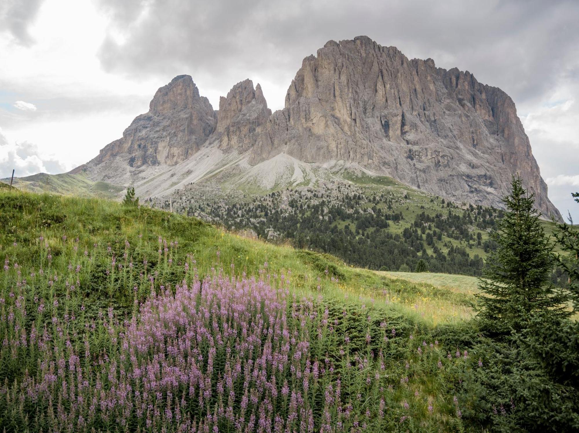 Charme Hotel Uridl Santa Cristina Val Gardena Экстерьер фото